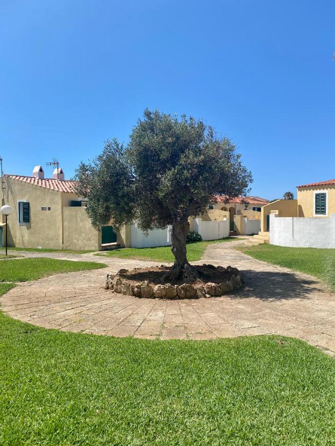 Apartamento 7 Palmeras Ciutadella  Eksteriør billede
